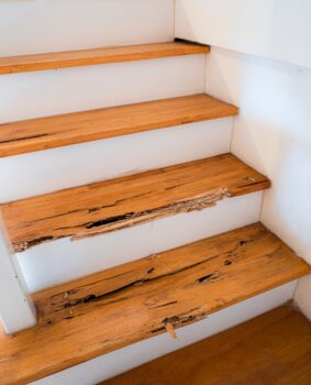 Termite Control Southlake TX