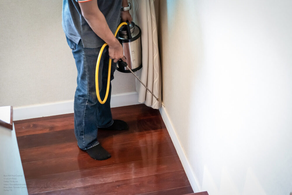 Termite Control near me Dallas TX