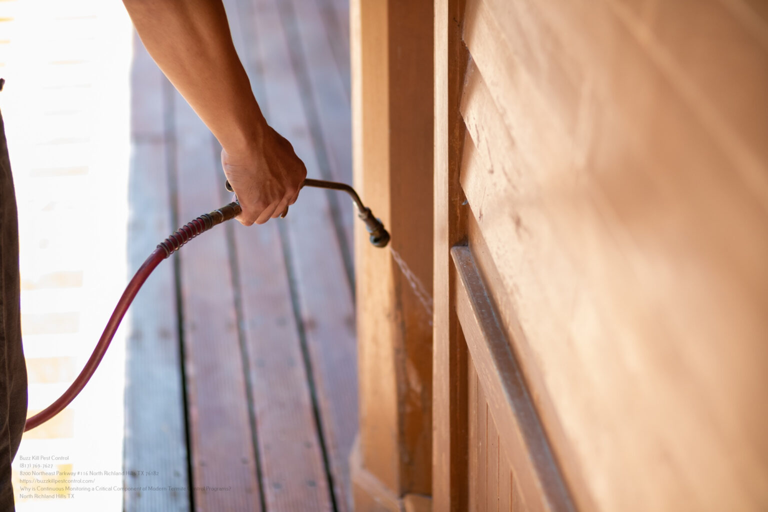 Usf Termite Control Program Why is Continuous Monitoring a Critical Component of Modern Termite ...