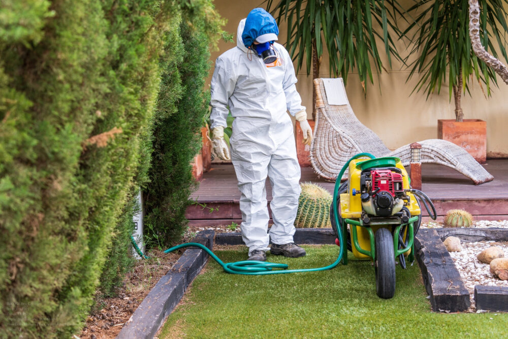 Pest Control near me Dallas TX