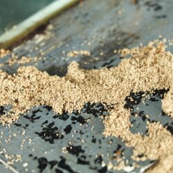 Termite Control North Richland Hills TX Termite Control North Richland Hills TX
