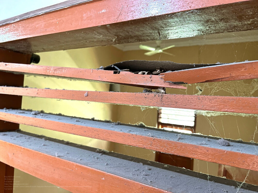 Termite Control near me Fort Worth TX
