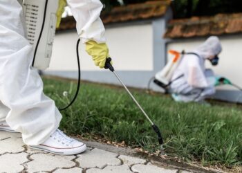 Exterminator Project By Buzz Kill Pest Control In Haslet Tx