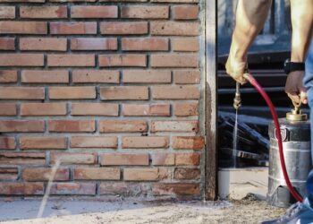 Local Pest Control By Buzz Kill Pest Control In Arlington Heights Tx