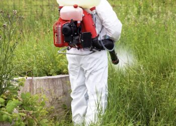 Local Pest Control By Buzz Kill Pest Control In Fairmount Tx