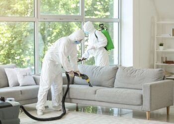 Local Pest Control By Buzz Kill Pest Control In Haslet Tx