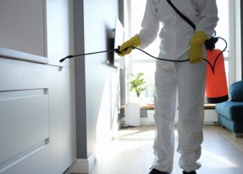 Local Pest Control By Buzz Kill Pest Control In Justin Tx