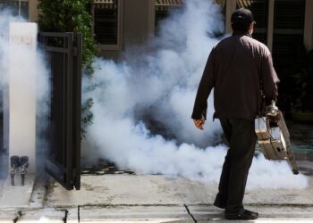 Local Pest Control By Buzz Kill Pest Control In Mira Vista Tx