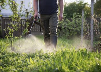 Local Pest Control Project By Buzz Kill Pest Control In Roanoke Tx