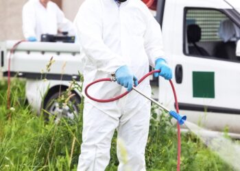Local Pest Control Project By Buzz Kill Pest Control In Westcliff Tx