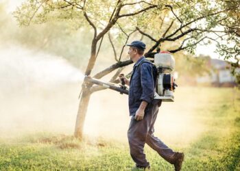 Mosquito Control Project By Buzz Kill Pest Control Near Me Alliance Tx