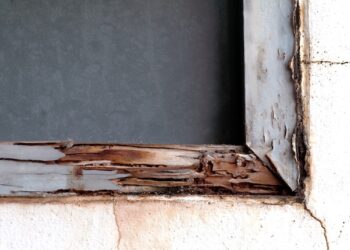 New Construction Termite Treatment Near Me North Fort Worth Tx