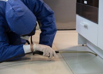 Pest Control Project By Buzz Kill Pest Control In Haslet Tx