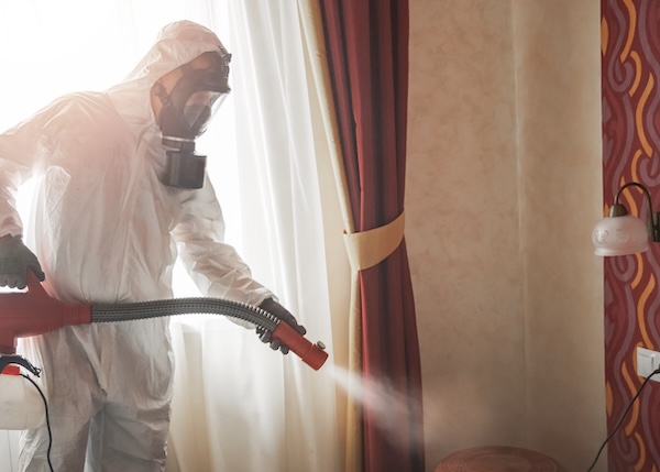 Pest Control Project By Buzz Kill Pest Control In Keller Tx