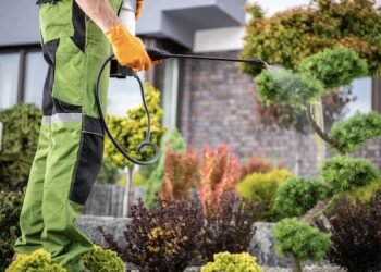 Pest Control Project By Buzz Kill Pest Control Near Me Keller Tx