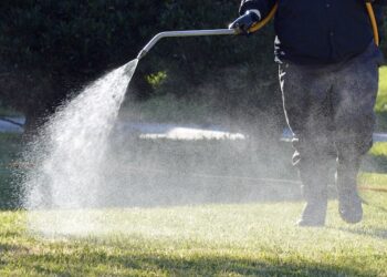 Pest Control Project By Buzz Kill Pest Control Near Me North Fort Worth Tx