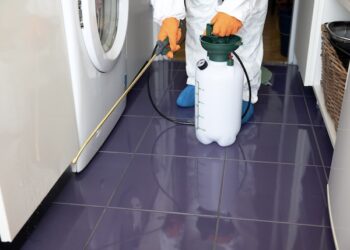 Pest Control Project By Buzz Kill Pest Control In North Fort Worth Tx