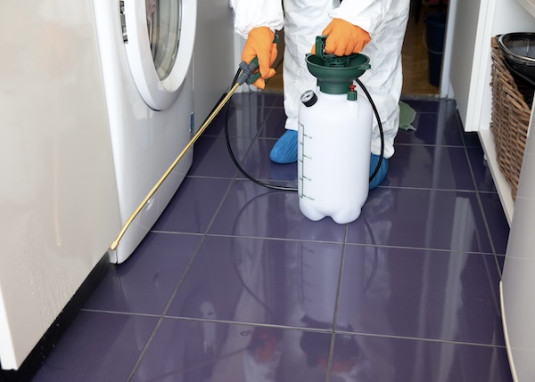 Pest Control Project By Buzz Kill Pest Control In North Fort Worth Tx