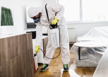 Pest Control Project By Buzz Kill Pest Control In Roanoke Tx