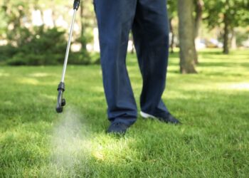 Pest Control Services Project By Buzz Kill Pest Control In North Fort Worth Tx