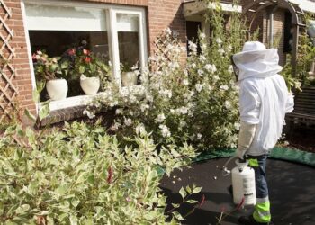Pest Control Services By Buzz Kill Pest Control In Alliance Tx