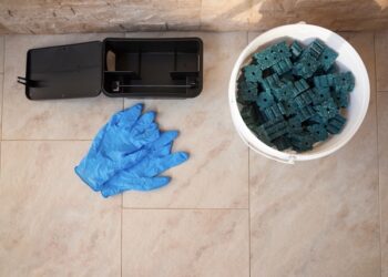 Pest Control Services By Buzz Kill Pest Control In Arlington Heights Tx