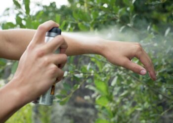 Pest Control Services By Buzz Kill Pest Control In Mira Vista Tx