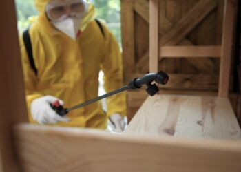 Pest Control Services By Buzz Kill Pest Control In Saginaw Tx