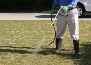 Pest Control Services Project By Buzz Kill Pest Control In Westcliff Tx