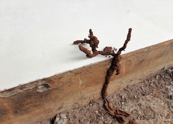 Professional New Construction Termite Treatment Services