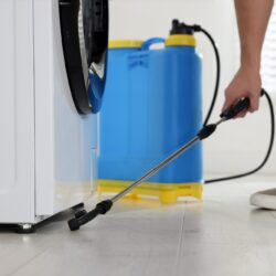 Pest Control North Dallas TX Pest Control North Dallas TX