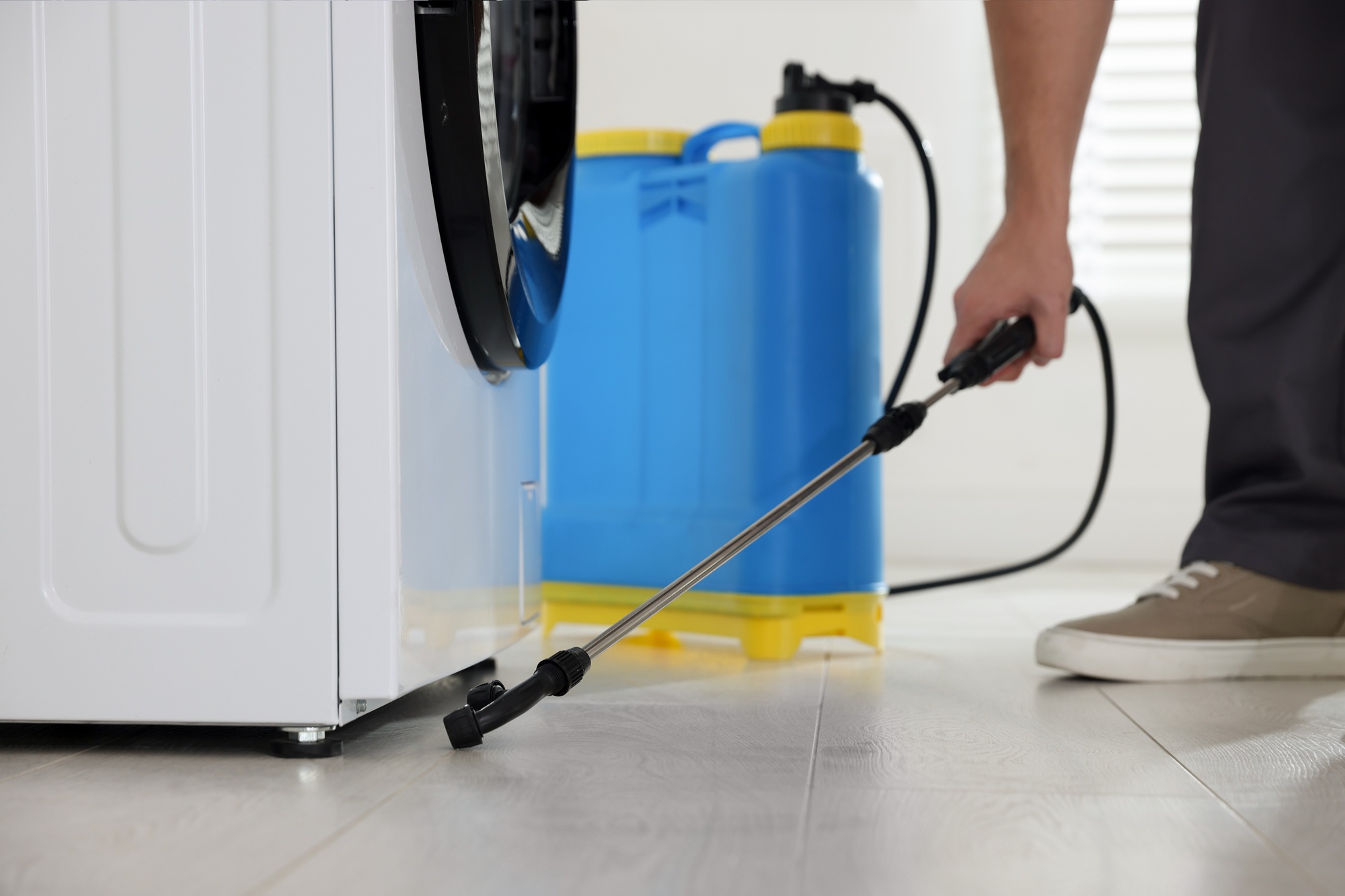 Pest Control North Dallas TX Pest Control North Dallas TX