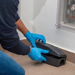 Pest Control North Richland Hills TX Pest Control North Richland Hills TX