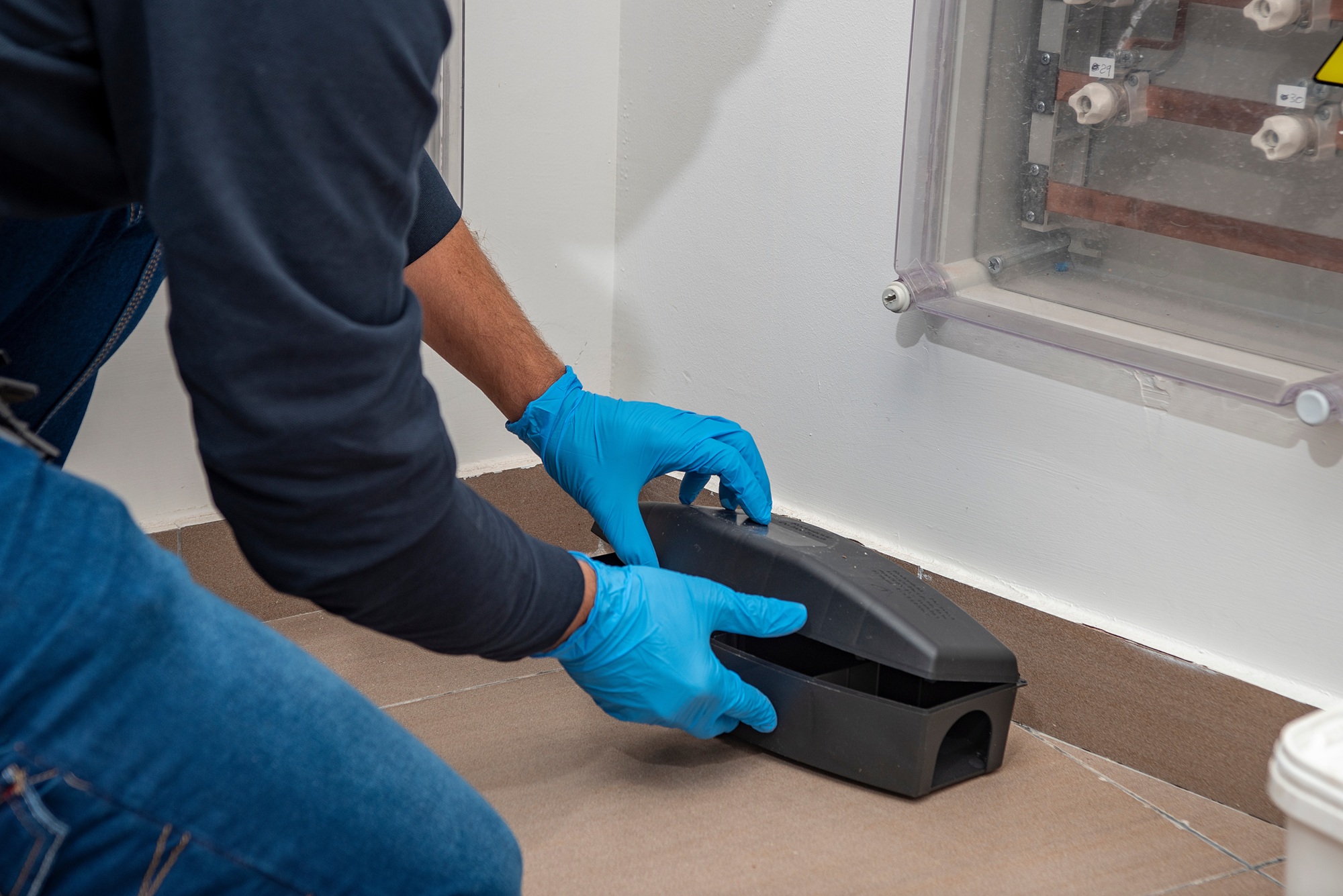Pest Control North Richland Hills TX Pest Control North Richland Hills TX