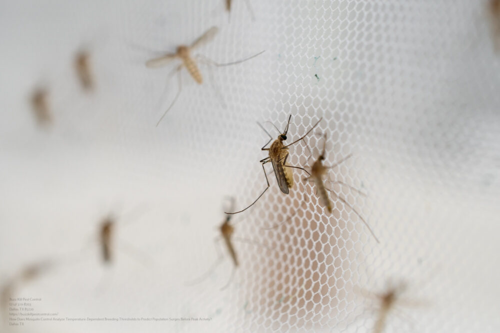 Mosquito Control near me North Richland Hills TX